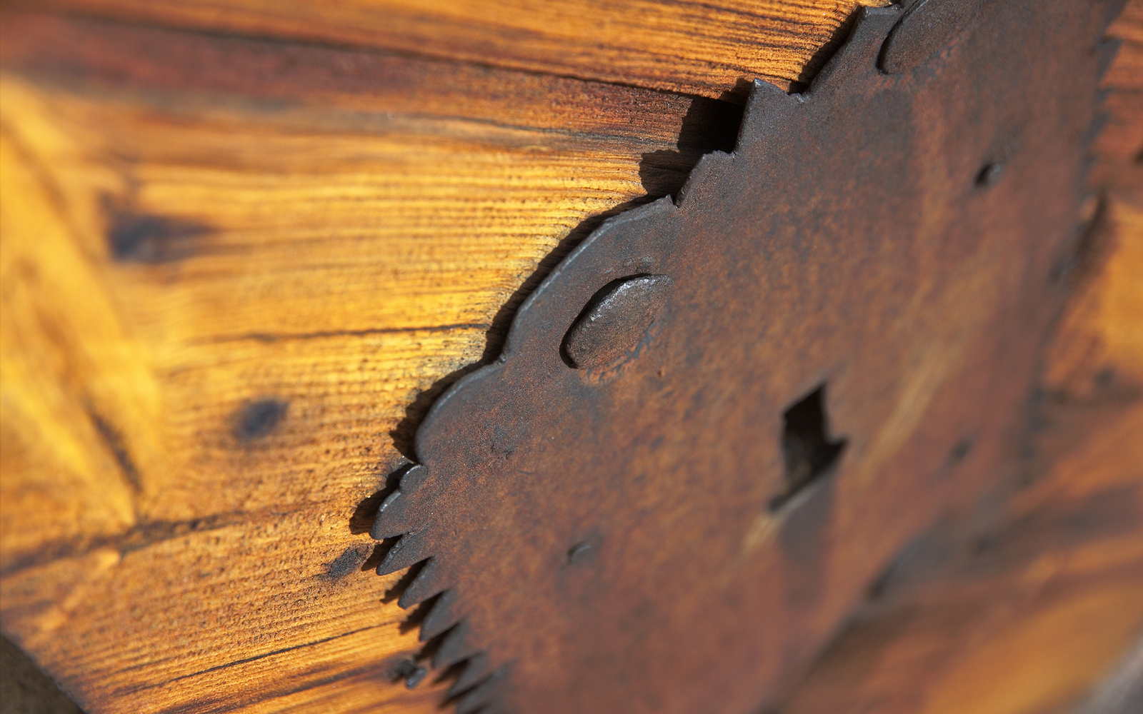 wpid-2015-01-23_11-12-18.jpg image