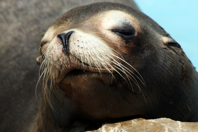 wpid-2015-01-23_11-12-18.jpg image